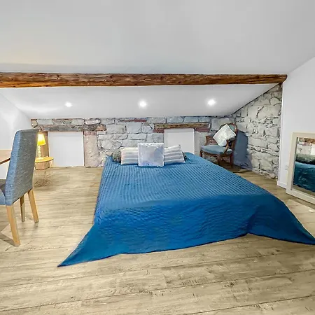 Apartment Charme Stephanois Centre Historique Et Stade G Guichard